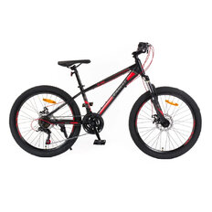 Juniorské kolo Canull XC 240 24