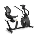 Recumbenty Zen
