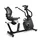Recumbenty Zen
