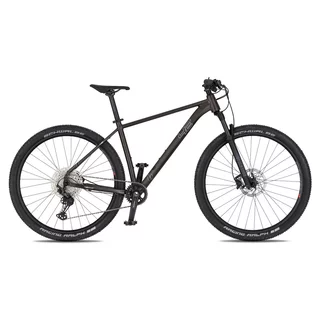 Horské kolo 4EVER Prodigy Race 29" - model 2026