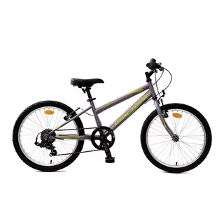 Dětské kolo Reactor Star 20" 9.0 • 130-160 cm - fialová
