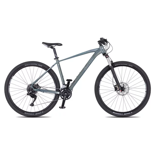 Horské kolo 4EVER Frontbee 29'' 10.0 - foggy/silver