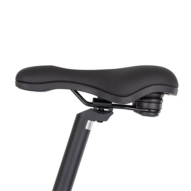 Městské elektrokolo inSPORTline ISL Eclion 648 Wh 28" - model 2026 • dojezd až 150 km - Titanium Grey