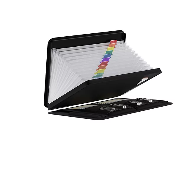 Ochranný skořepinový kufřík s organizérem inSPORTline Dorcuba 37x27,5x13,5 cm