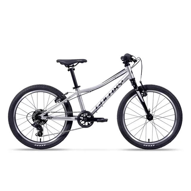 Odlehčené dětské kolo Galaxy Cetis Lite 20" 9.0 • 115-135 cm • 8,3 kg - stříbrná - stříbrná