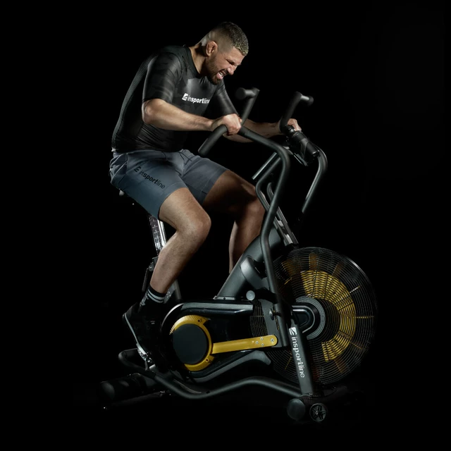 AirBike® inSPORTline Beast