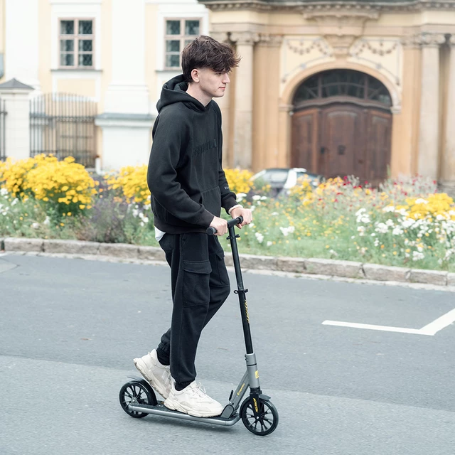 Skládací koloběžka inSPORTline Wayotan
