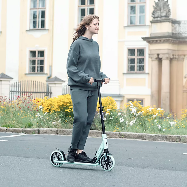 Skládací koloběžka inSPORTline Wayomint