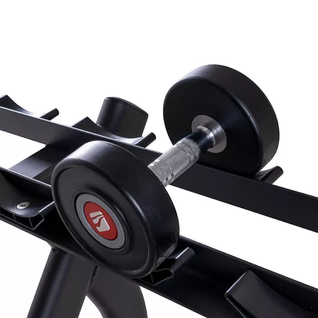 Dvouřadý stojan na jednoruční činky inSPORTline GymRack II, 20 pozic