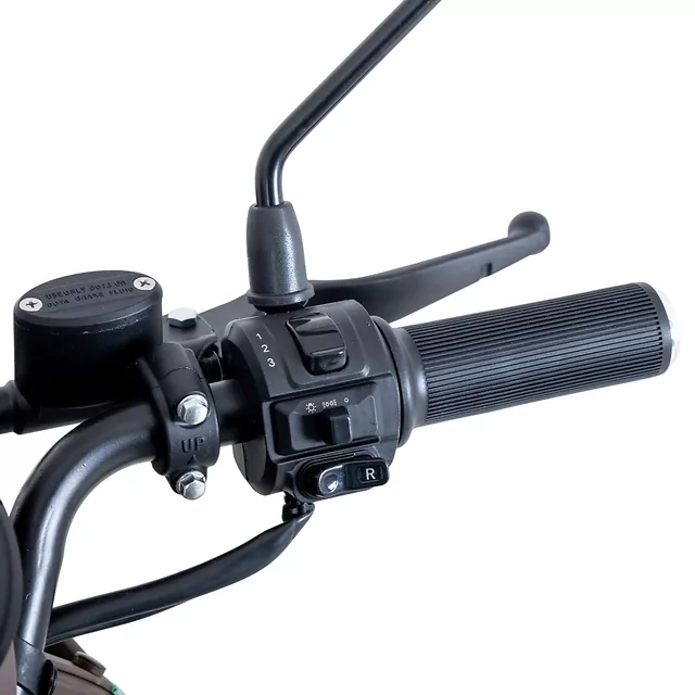 Elektrický čtyřkolový vozík W-TEC Lubica II • 25km/h • až 50km dojezd • s řidičákem - šedá