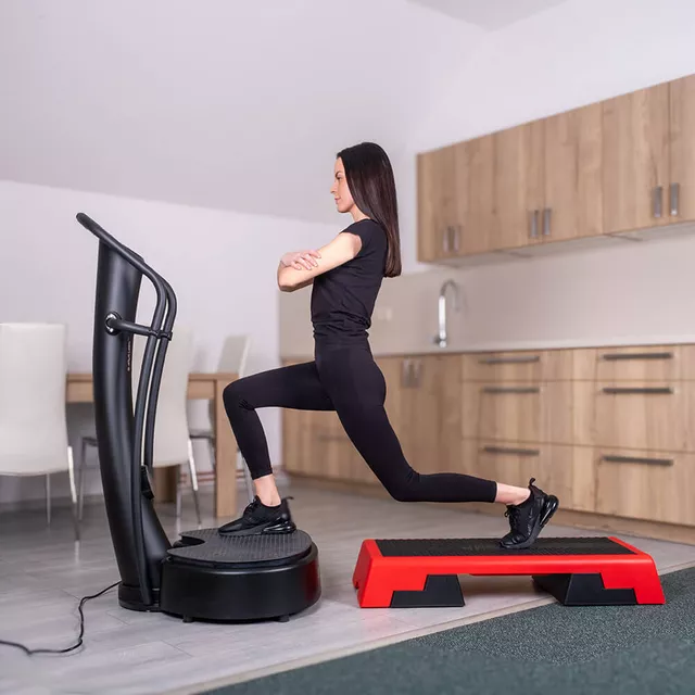 VibroGym inSPORTline Lotos Max