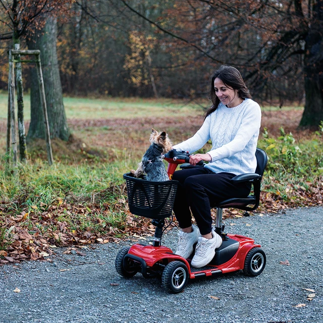 Elektrický čtyřkolový vozík inSPORTline Omis (W3431) • 6km/h • až 20km dojezd • bez řidičáku