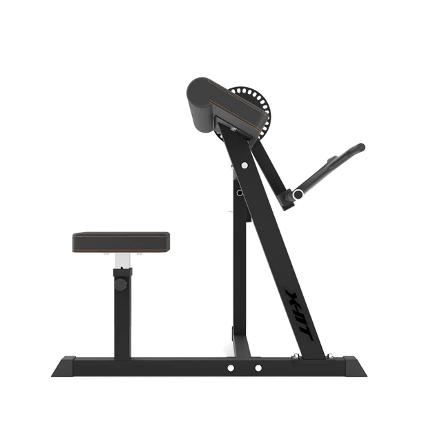 Posilovací lavice inSPORTline X-NT BT20 Biceps a Triceps Curl