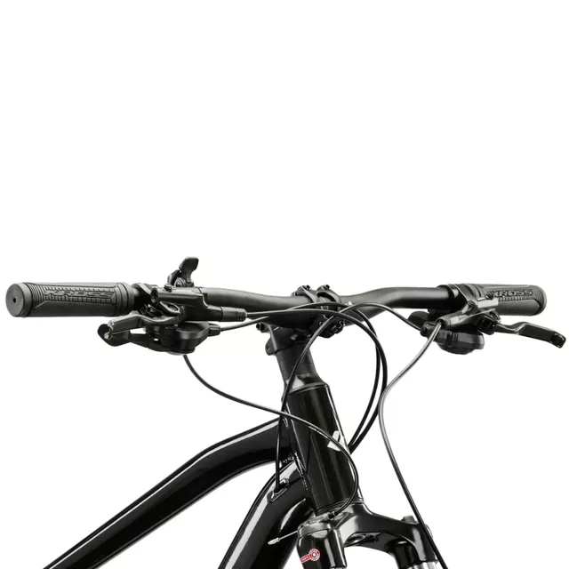 Horské kolo Kross Hexagon 5.0 29" Gen 008 - stříbrná/černá/lesk
