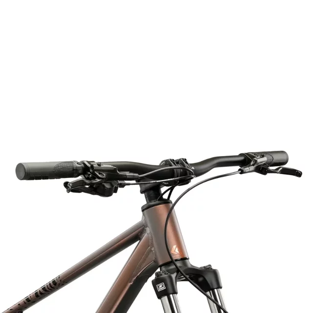 Horské kolo Kross Level X100  29" - model 2026