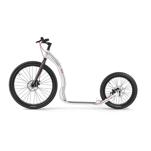Koloběžka Yedoo Trexx Disc 26/20" - Black