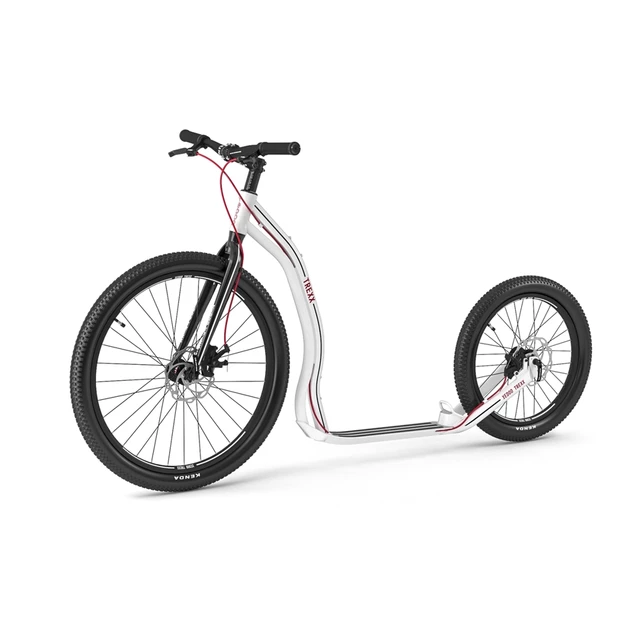 Koloběžka Yedoo Trexx Disc 26/20" - Black