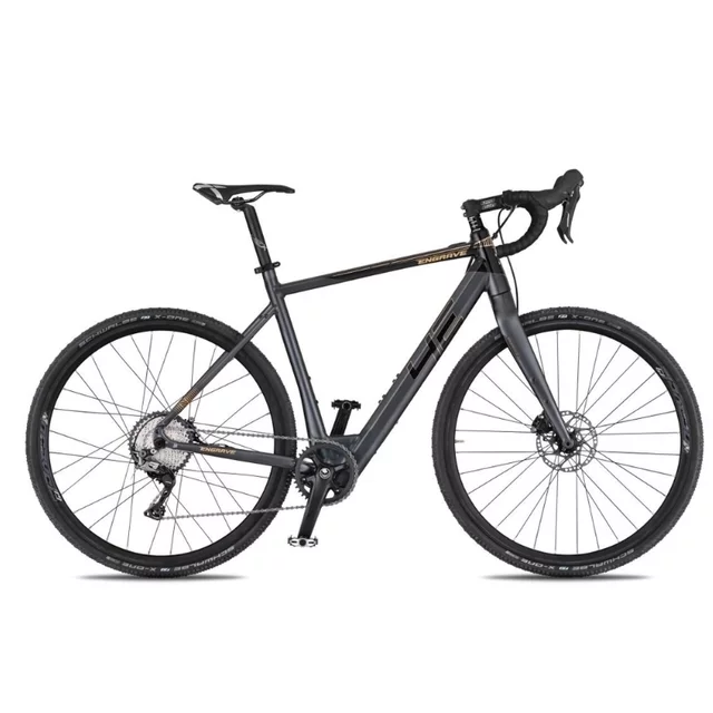 Gravel elektrokolo 4EVER ENGRAVE PRO 28" - titan/hologram - titan/metal gold