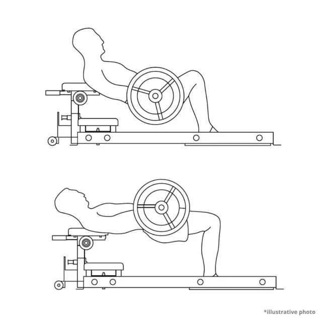 Posilovací lavice na nohy a hýždě inSPORTline X-NT HT10 Hip Thrust