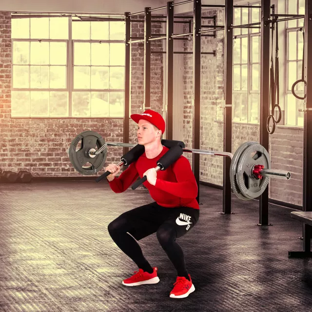 Olympijská hřídel na dřepy inSPORTline Barsap 220cm/50mm • 22,5kg • do 317 kg • bez objímek