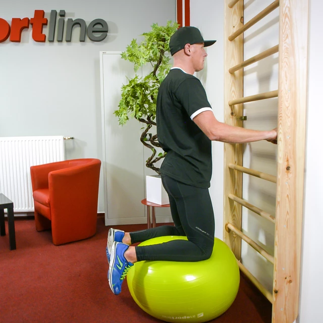 Žebřiny inSPORTline Dualmar 195x65 cm