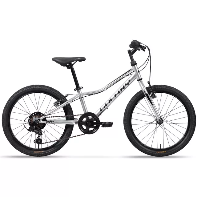 Odlehčené dětské kolo Galaxy Neptun 20" 10.0 • 113-135 cm • 11,3 kg - stříbrná - stříbrná