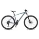Horské kolo 4EVER Frontbee 29'' 10.0 - foggy/silver