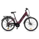 Městské elektrokolo inSPORTline ISL Eclion 648 Wh 28" - model 2026 • dojezd až 150 km - Titanium Grey - Velour Red