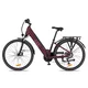 Městské elektrokolo inSPORTline ISL Eclion 648 Wh 28" - model 2026 • dojezd až 150 km - Titanium Grey