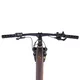 Horské elektrokolo inSPORTline ISL Tachion EVO 835 Wh 29" - model 2026 • dojezd až 180 km - Deep Coffee