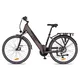 Městské elektrokolo inSPORTline ISL Eclion 648 Wh 28" - model 2026 • dojezd až 150 km - Titanium Grey