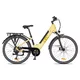 Městské elektrokolo inSPORTline ISL Eclion 648 Wh 28" - model 2026 • dojezd až 150 km - Titanium Grey - Sunbeam Yellow