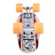 Penny board WORKER Bambo 22" - 2.jakost - květina
