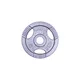 Litinový kotouč inSPORTline Hamerton 5 kg 30 mm - 2.jakost
