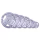 Litinový kotouč inSPORTline Hamerton 5 kg 30 mm - 2.jakost