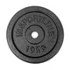 Litinové kotouče inSPORTline CastCzech 30 mm 0,5-20 kg