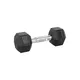 Šestihranné činky inSPORTline Hexsteel 2-40 kg