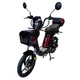 Elektroskútr W-TEC E-Greta II 12Ah 18" - černá - červená
