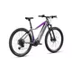 Horské elektrokolo Crussis e-Fionna 9.10 720Wh 29"