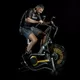 AirBike® inSPORTline Beast