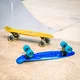 Penny board WORKER Mirria C9 22" - 2.jakost