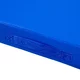 Gymnastická žíněnka inSPORTline Munakor T60 200x120x10 cm - modrá