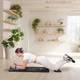 Pilates reformer inSPORTline Trancer Basic - fialová