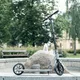 Skládací koloběžka inSPORTline Wayotan
