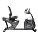Recumbent inSPORTline inCondi R600i
