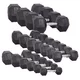 Šestihranné činky inSPORTline Hexsteel 2-40 kg