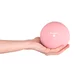 Jóga míč inSPORTline Yoga Ball 1 kg - růžová