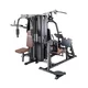 Posilovací věž inSPORTline Profigym C300