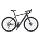 Gravel elektrokolo 4EVER ENGRAVE PRO 28" - titan/hologram - titan/metal gold