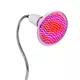 LED lampa inSPORTline Vlora s červeným a modrým světlem